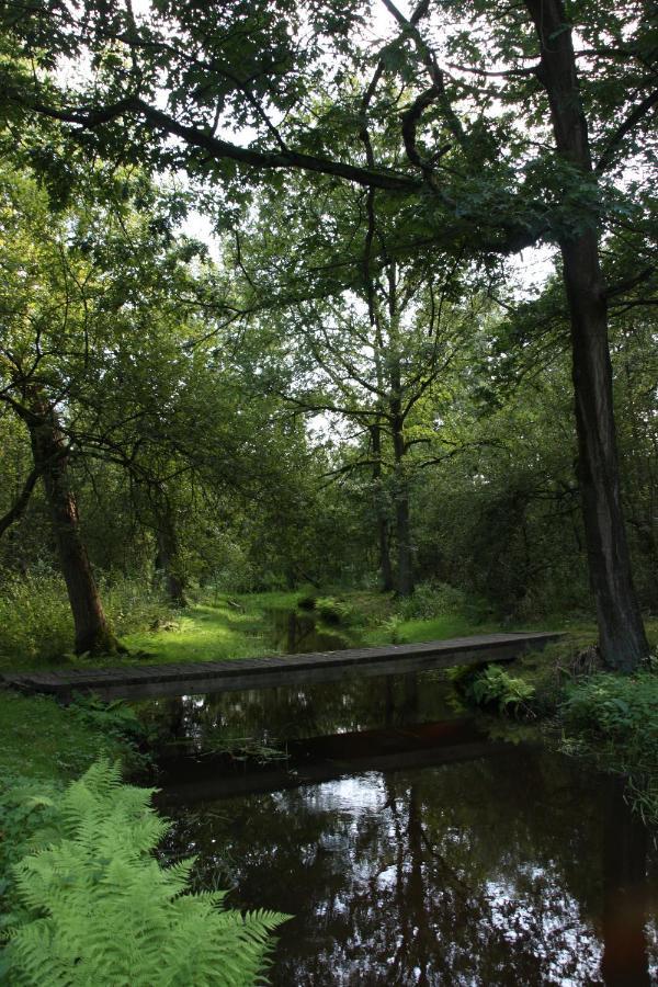 Vakantiehuis Appelvink, Toplocatie In Bosrijke Omgeving Oisterwijk Zewnętrze zdjęcie