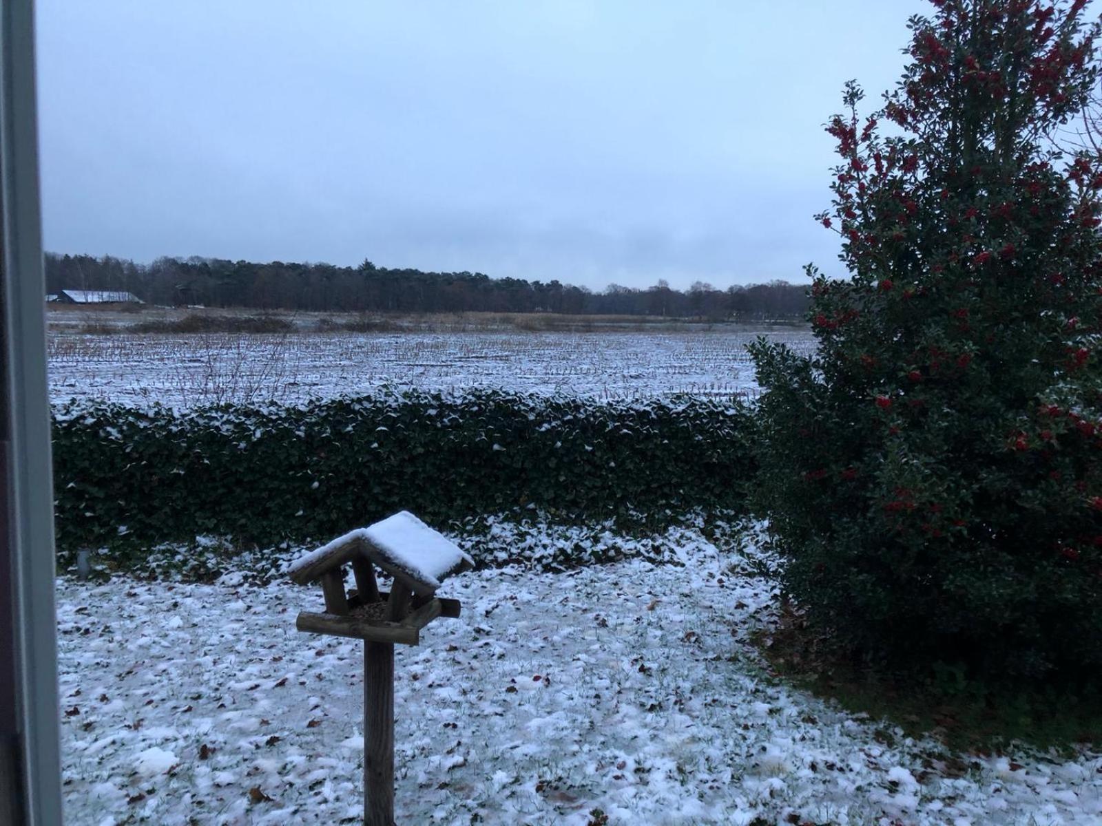 Vakantiehuis Appelvink, Toplocatie In Bosrijke Omgeving Oisterwijk Zewnętrze zdjęcie